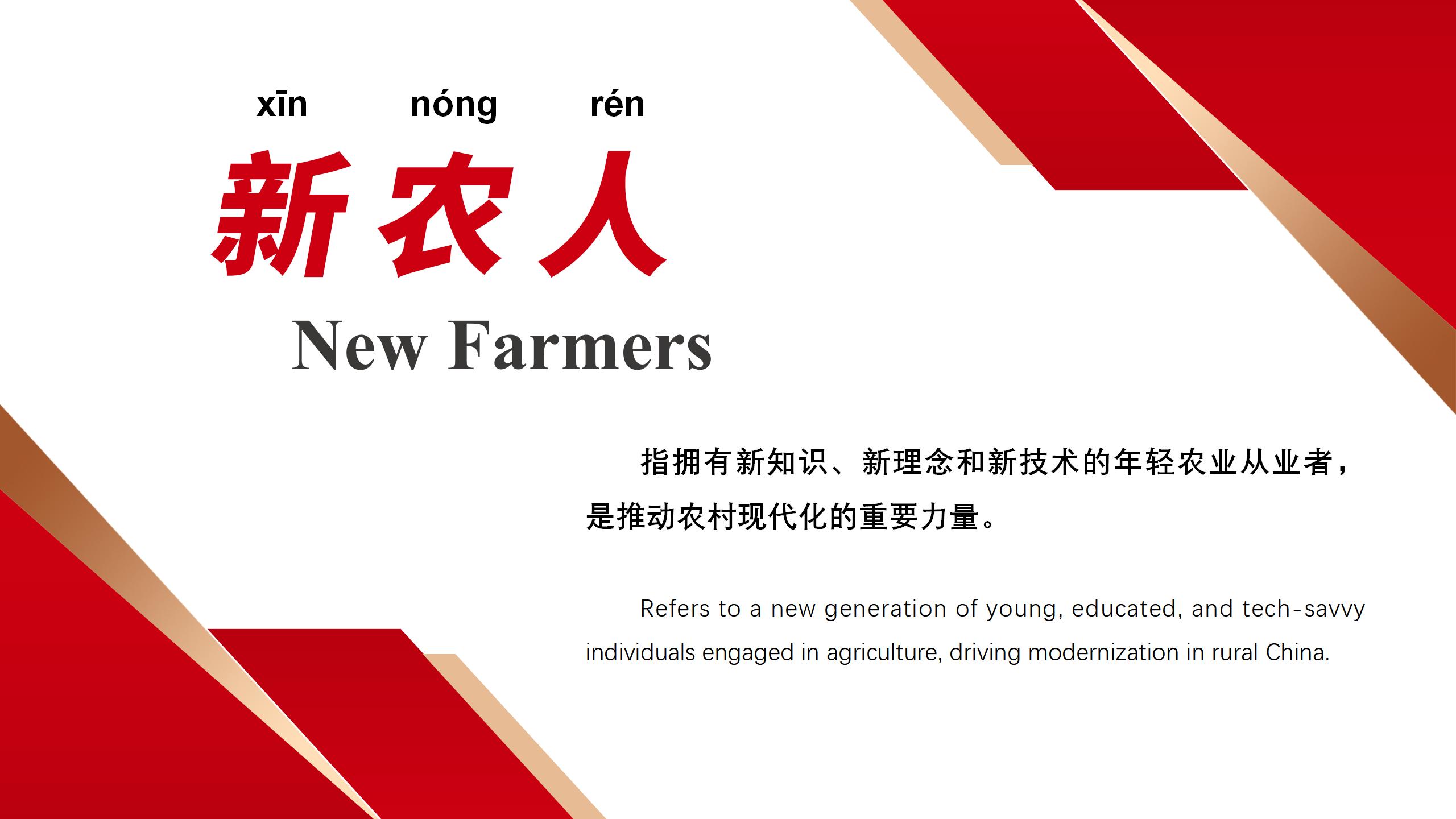 政治词卡_05